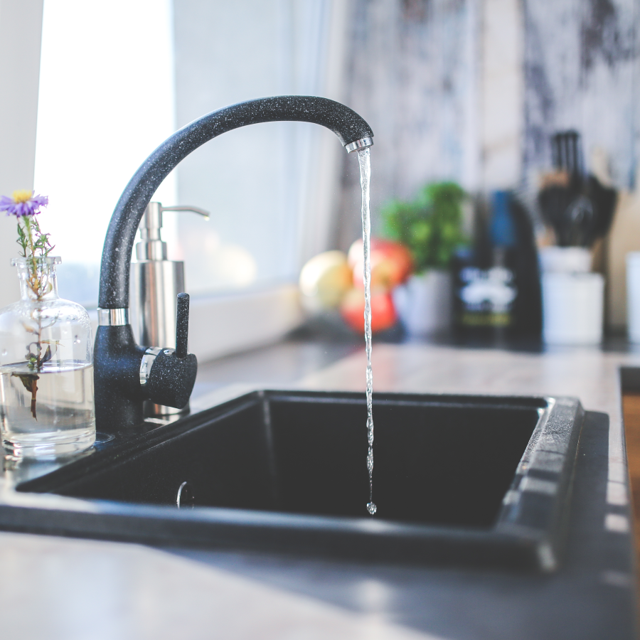 Bacterial isolation from a kitchen dish towel reveals the presence